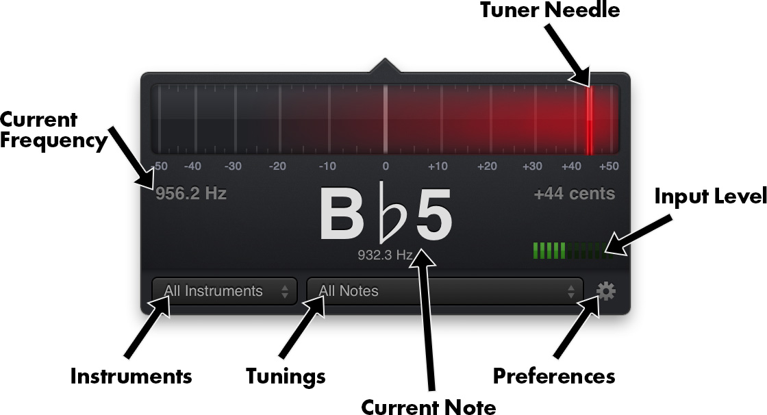 SteadyTune interface diagram